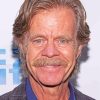 William H Macy Actor Paint By Numbers