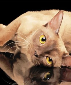 Yellow Eyes Burmese Cat Paint By Numbers