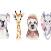 Animals Art Paint By Numbers