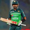 Babar Azam Paint By Numbers