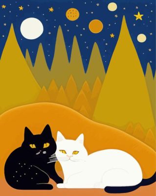 Black And White Cats Paint By Numbers