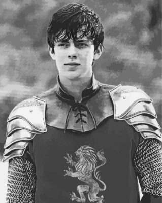 Black And White Edmund Pevensie Paint By Numbers