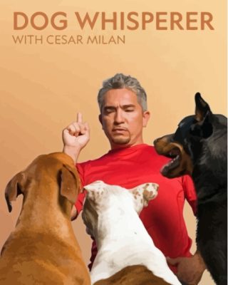 Dog Whisperer With Cesar Millan Poster Paint By Numbers