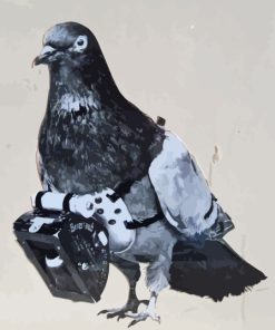 Dove Bird And Camera Paint By Numbers