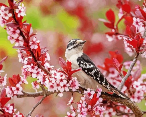 Downy Woodpecker And Blossoms Paint By Numbers