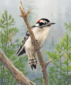 Downy Woodpecker Bird Paint By Numbers