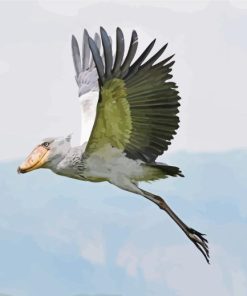 Flying Shoebill Stork Paint By Numbers