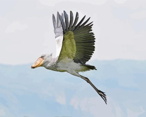 Flying Shoebill Stork Paint By Numbers