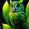 Green Owl Bird Paint By Numbers