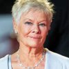 Judi Dench British Actress Paint By Numbers