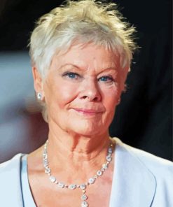 Judi Dench British Actress Paint By Numbers