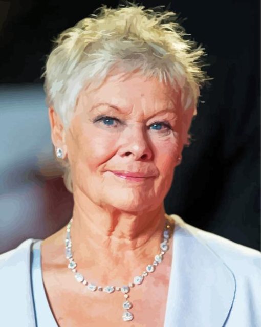 Judi Dench British Actress Paint By Numbers