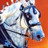 Percheron Horse Paint By Numbers