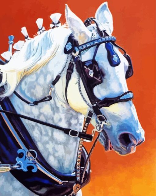 Percheron Horse Paint By Numbers