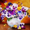Potted Flowers Pansies Paint By Numbers