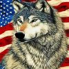 Wolf And American Flag Art Paint By Numbers