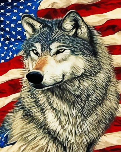 Wolf And American Flag Art Paint By Numbers