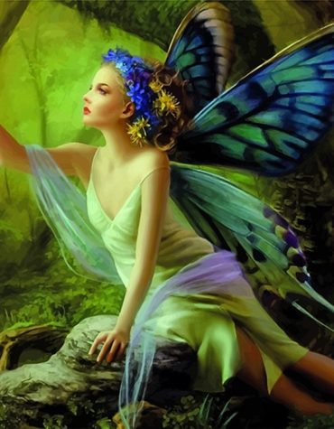 Pretty Butterfly Fairy Paint By Numbers