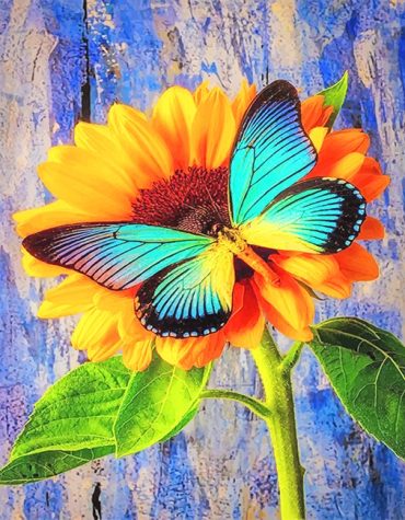 Butterfly and Sunflower Paint By Numbers