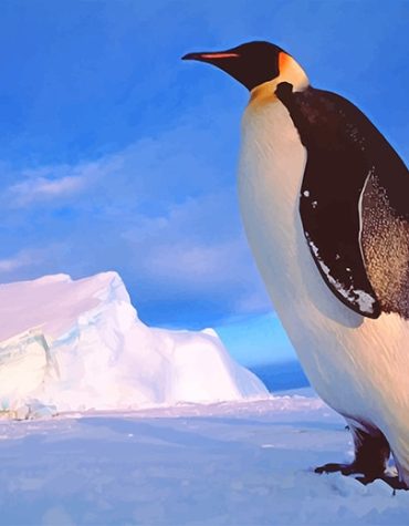 Cute Penguin Birds Paint By Numbers