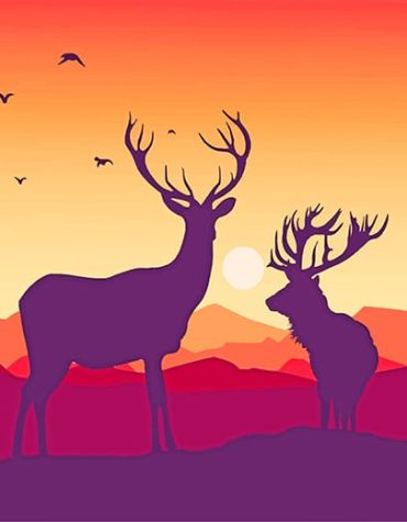 Deer Antlers Sunset Paint By Numbers