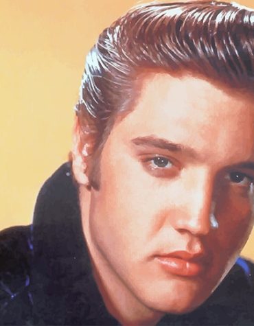 Elvis Presley Tribute Paint By Numbers