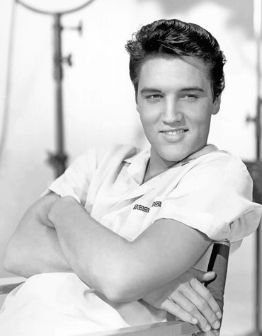 Elvis Presley American Icon Paint By Numbers