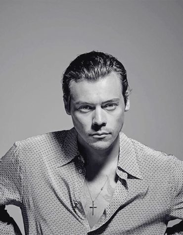 Harry Styles Photoshoot Paint By Numbers