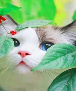 Cute Cat Paint By Numbers