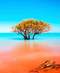 Kimberley Broome Beach Paint By Numbers