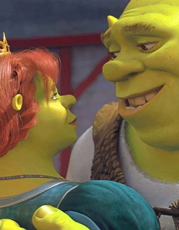 Shrek and Fiona Magic Paint By Numbers