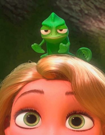 Disney Rapunzel Paint By Numbers