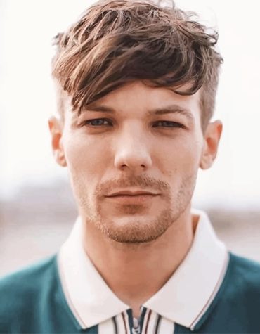 Louis Tomlinson Hair Transformation Paint By Numbers