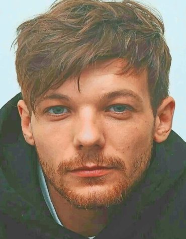 Louis Tomlinson One Direction Paint By Numbers