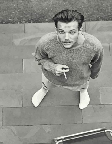 Louis Tomlinson Black White Paint By Numbers