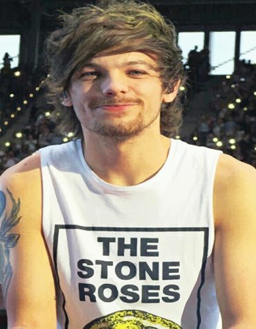 Louis Tomlinson Inspired Paint By Numbers