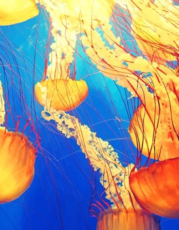 Jellyfish Sea Life Paint By Numbers