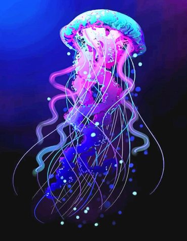 Blue and Purple Jellyfish Artwork Paint By Numbers