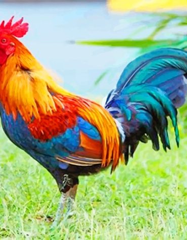 Kauai Colorful Chicken Paint By Numbers