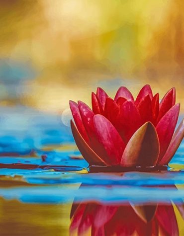 Pink Lotus Flower Paint By Numbers