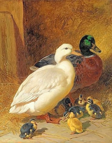 Beautiful Mallard Ducklings Paint By Numbers