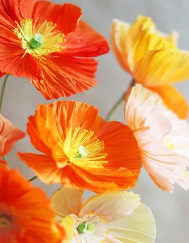 Orange and Yellow Poppies Paint By Numbers