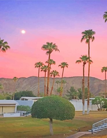 California Houses Paint By Numbers