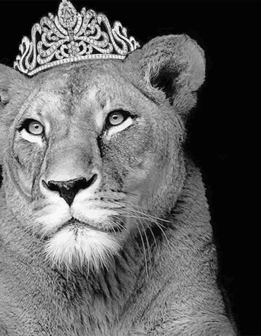 Queen Lioness Black and White Paint By Numbers