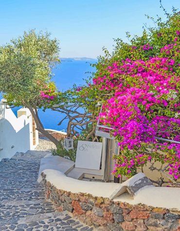 Santorini Pink Blooms Paint By Numbers