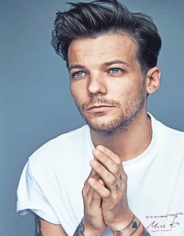 Louis Tomlinson New Singer Paint By Numbers