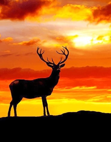 Deer Silhouette at Sunset Paint By Numbers