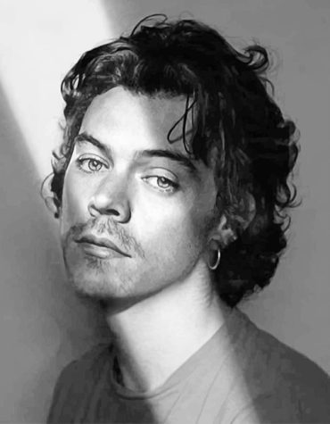 Harry Styles Monochrome Paint By Numbers