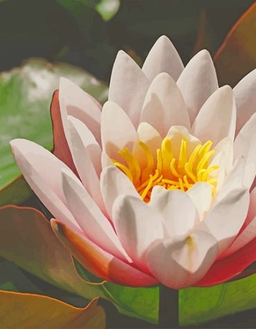 Elegant White Lotus Paint By Numbers