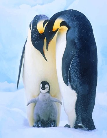 Penguin Family Snow Scene Paint By Numbers